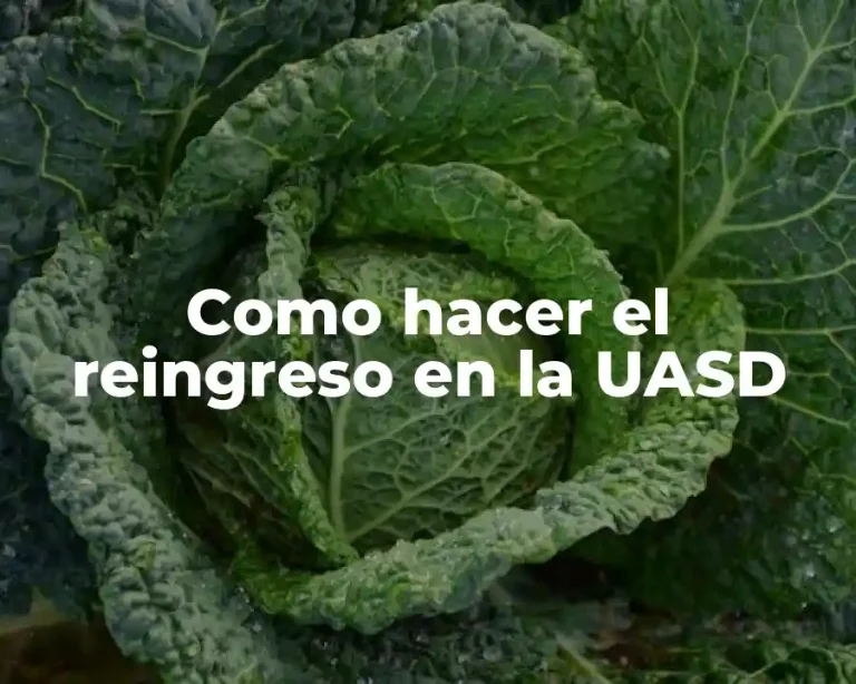 Como hacer el reingreso en la UASD