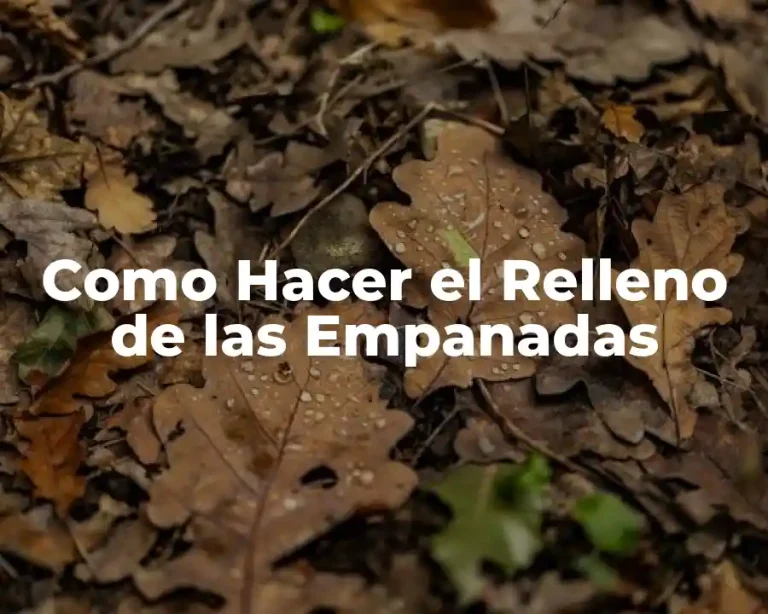 Como Hacer el Relleno de las Empanadas