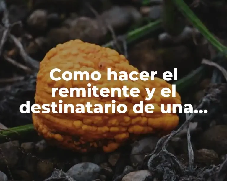 Como hacer el remitente y el destinatario de una empresa