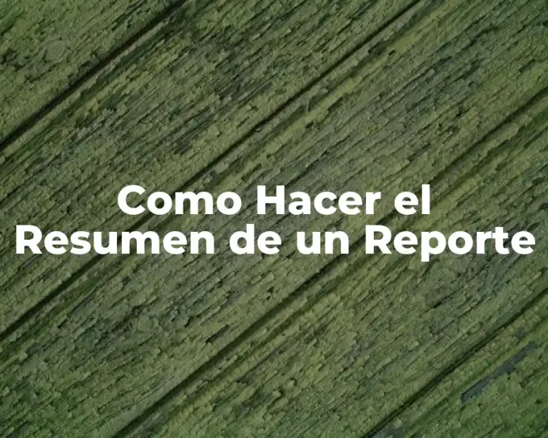 Como Hacer el Resumen de un Reporte