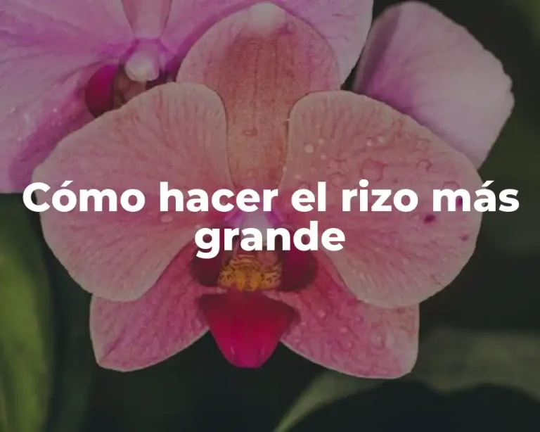 Cómo hacer el rizo más grande