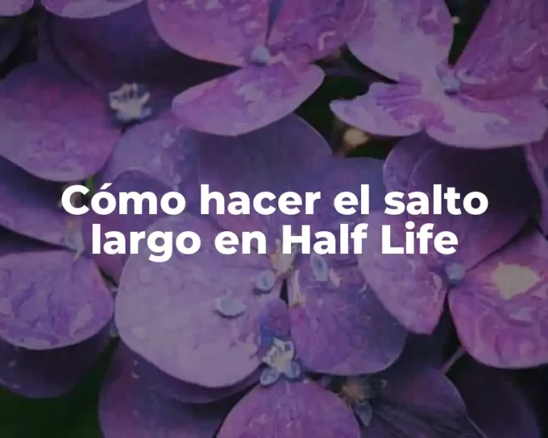 Cómo hacer el salto largo en Half Life