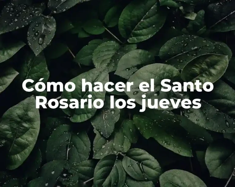 Cómo hacer el Santo Rosario los jueves