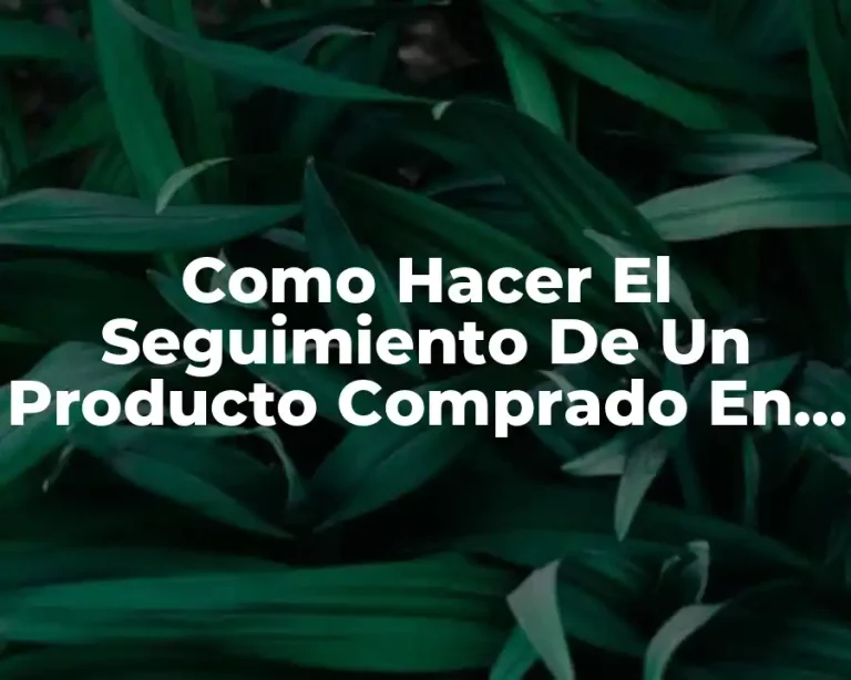 Como Hacer El Seguimiento De Un Producto Comprado En Lider