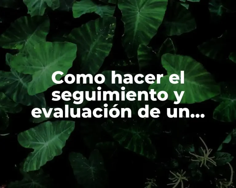 Como hacer el seguimiento y evaluación de un proyecto
