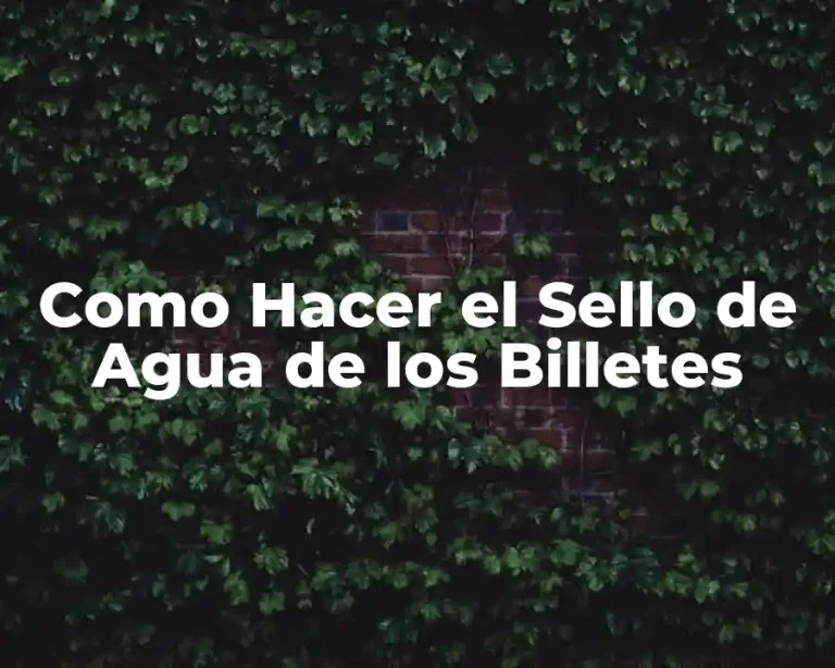 Como Hacer el Sello de Agua de los Billetes