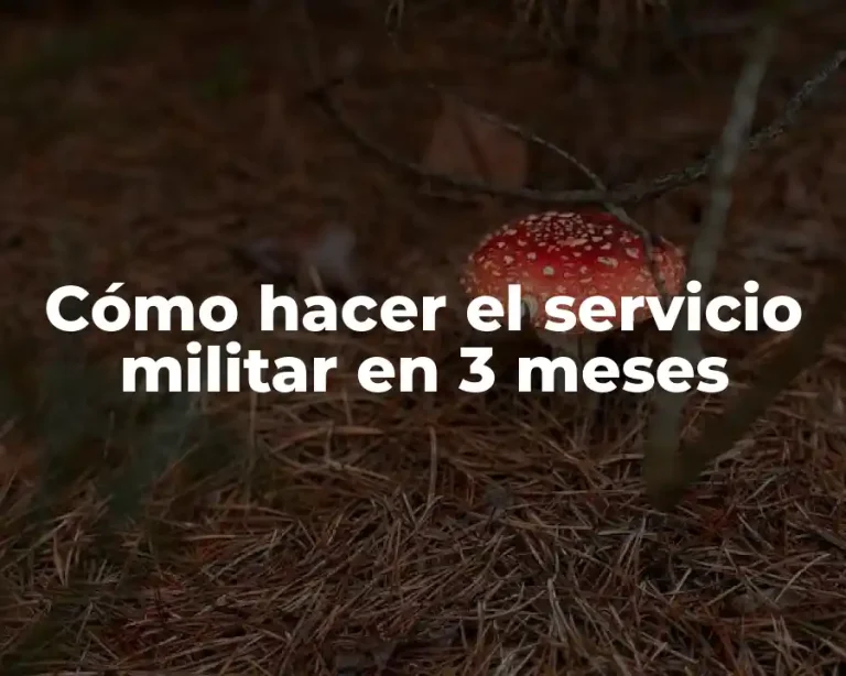 Cómo hacer el servicio militar en 3 meses