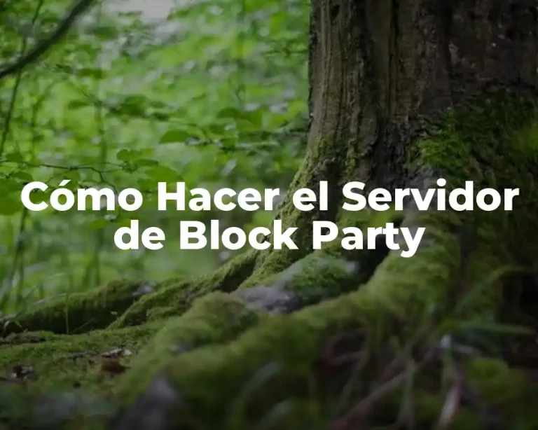 Cómo Hacer el Servidor de Block Party