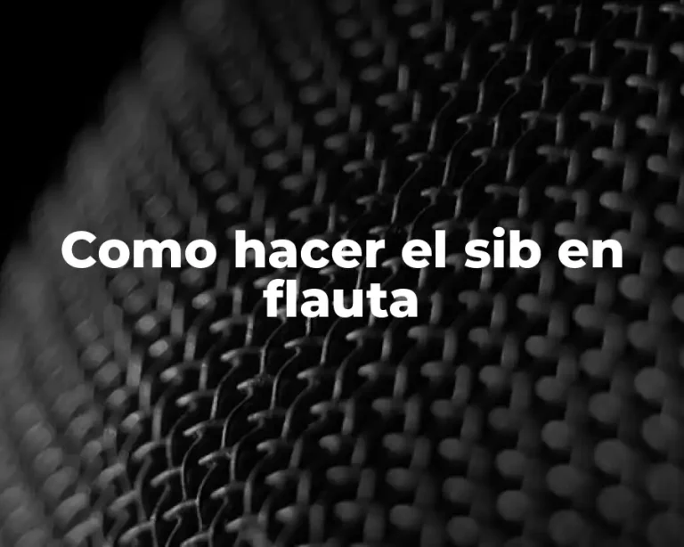 Como hacer el sib en flauta