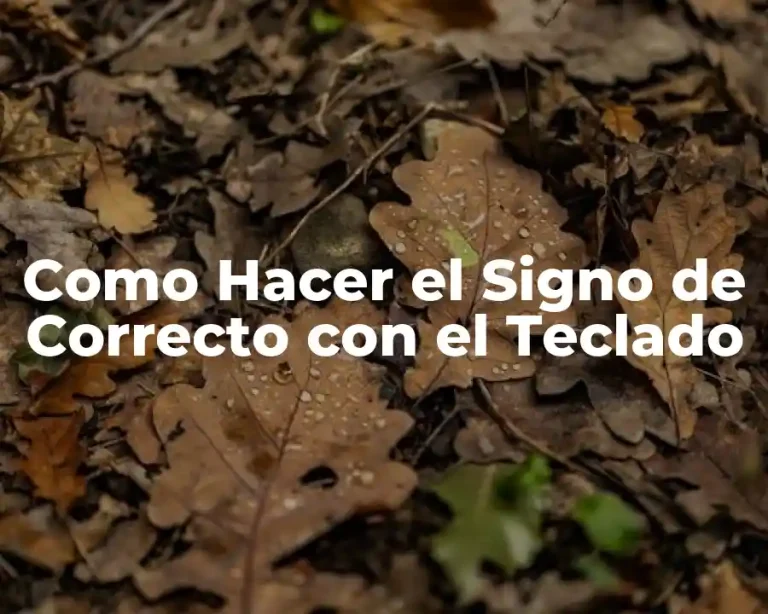 Como Hacer el Signo de Correcto con el Teclado