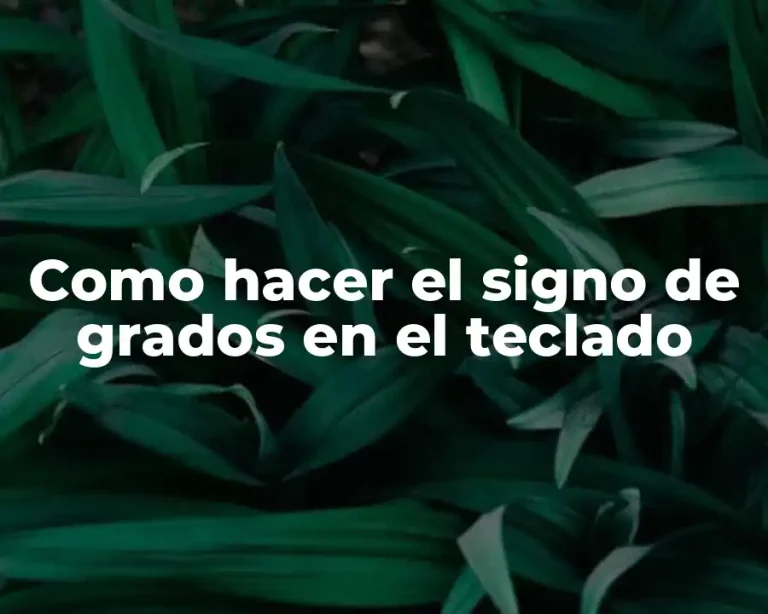 Como hacer el signo de grados en el teclado
