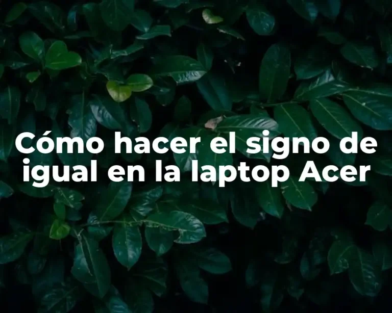 Cómo hacer el signo de igual en la laptop Acer