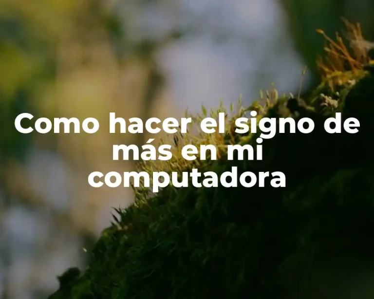 Como hacer el signo de más en mi computadora