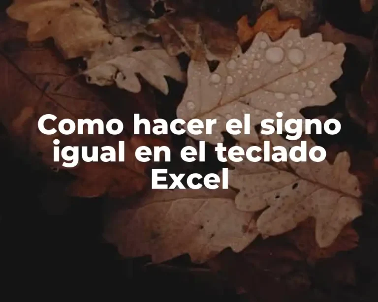 Como hacer el signo igual en el teclado Excel