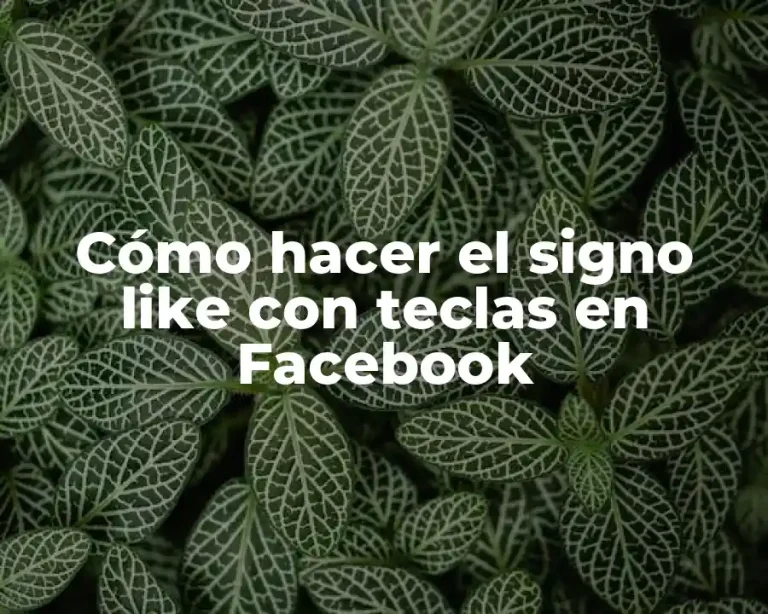 Cómo hacer el signo like con teclas en Facebook