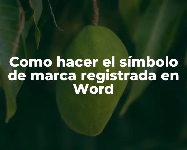 Como hacer el símbolo de marca registrada en Word