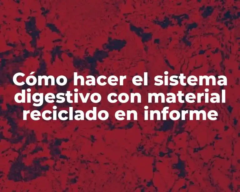 Cómo hacer el sistema digestivo con material reciclado en informe