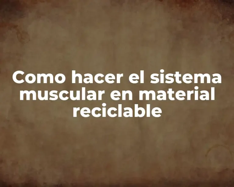 Como hacer el sistema muscular en material reciclable