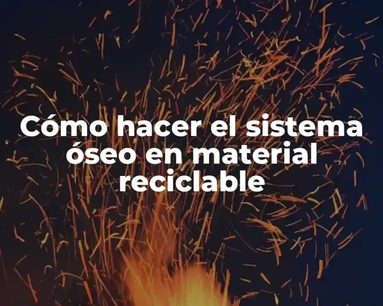 Cómo hacer el sistema óseo en material reciclable