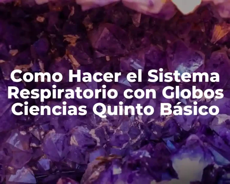 Como Hacer el Sistema Respiratorio con Globos Ciencias Quinto Básico