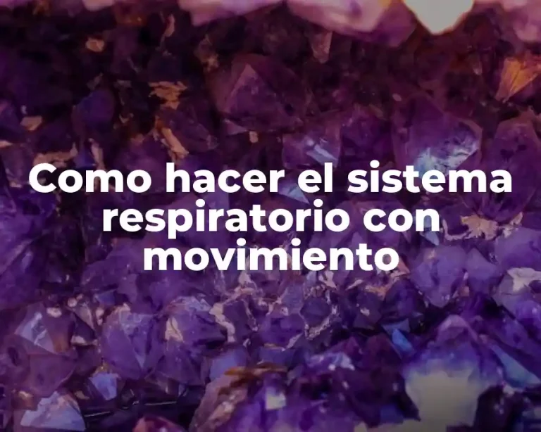 Como hacer el sistema respiratorio con movimiento