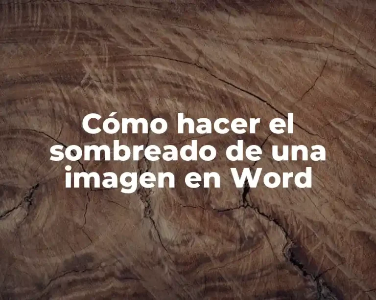 Cómo hacer el sombreado de una imagen en Word