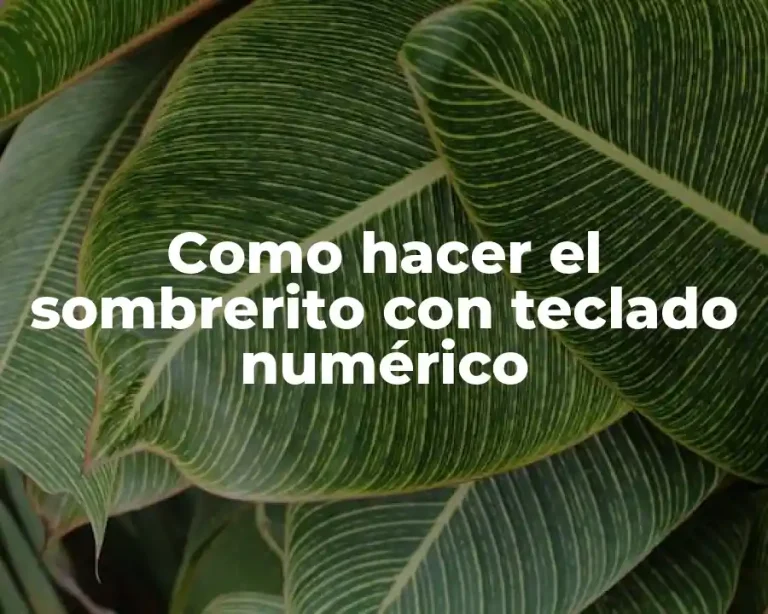 Como hacer el sombrerito con teclado numérico