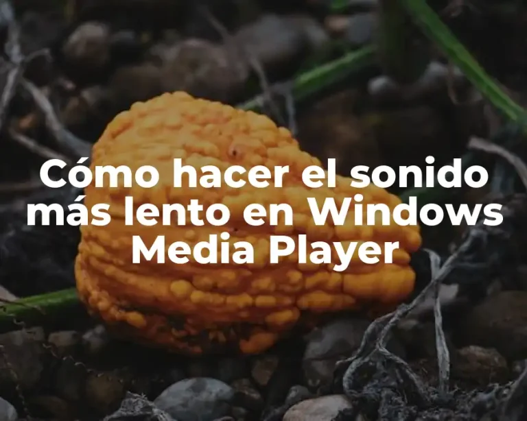 Cómo hacer el sonido más lento en Windows Media Player