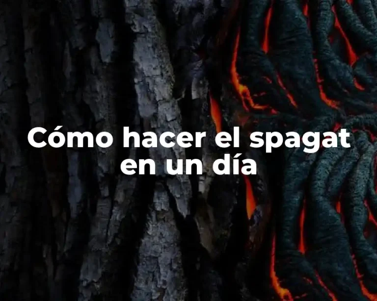 Cómo hacer el spagat en un día