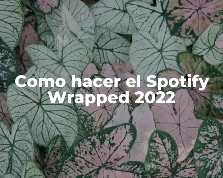 Como hacer el Spotify Wrapped 2022