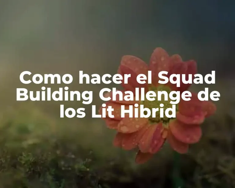 Como hacer el Squad Building Challenge de los Lit Hibrid