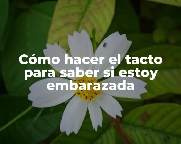 Cómo hacer el tacto para saber si estoy embarazada
