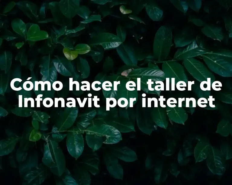 Cómo hacer el taller de Infonavit por internet