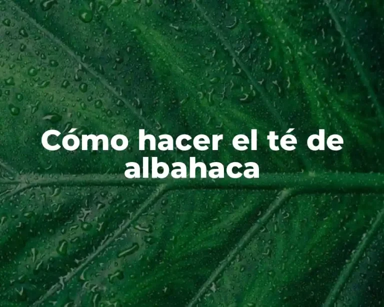 Cómo hacer el té de albahaca