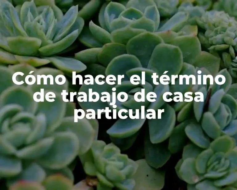 Cómo hacer el término de trabajo de casa particular