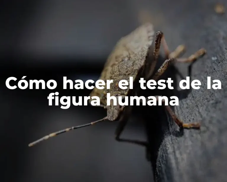 Cómo hacer el test de la figura humana