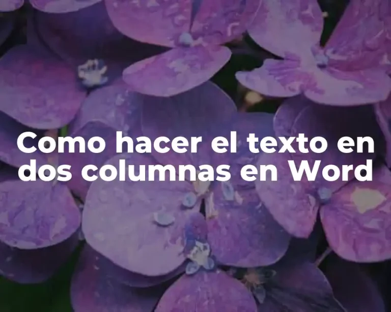 Como hacer el texto en dos columnas en Word