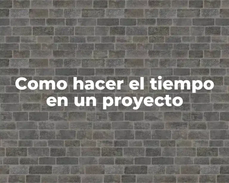 Como hacer el tiempo en un proyecto
