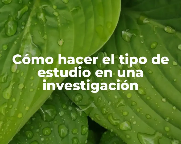 Cómo hacer el tipo de estudio en una investigación