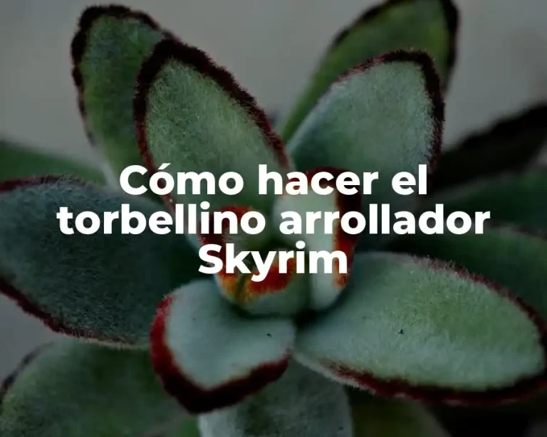 Cómo hacer el torbellino arrollador Skyrim