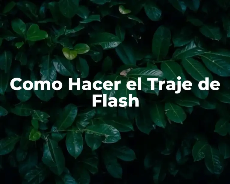 Como Hacer el Traje de Flash