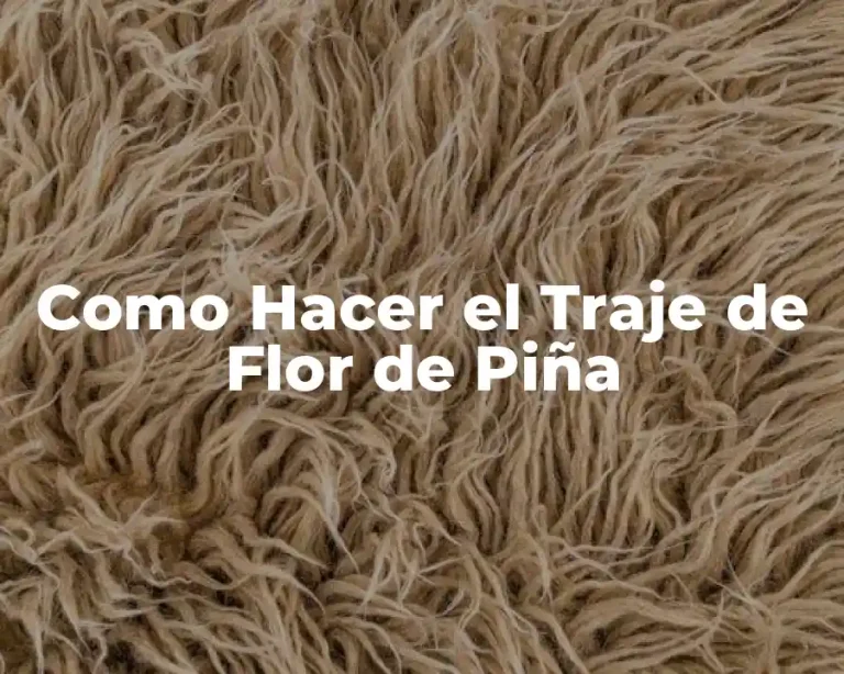 Como Hacer el Traje de Flor de Piña