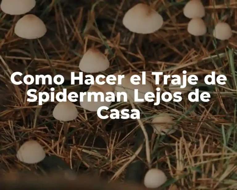 Como Hacer el Traje de Spiderman Lejos de Casa