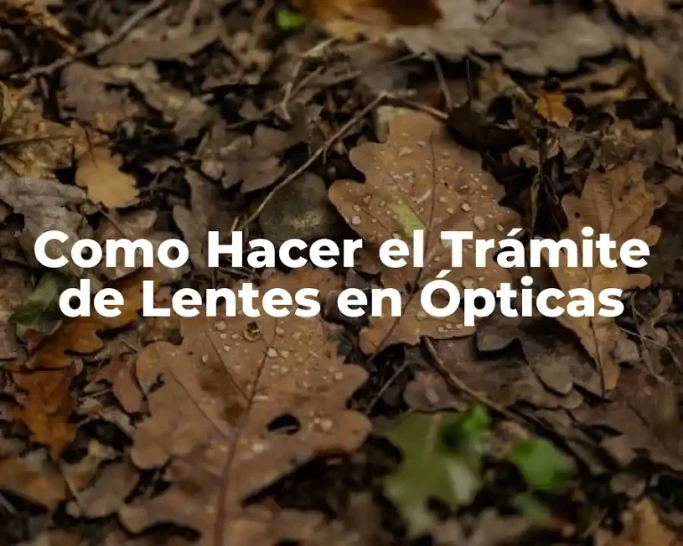 Como Hacer el Trámite de Lentes en Ópticas