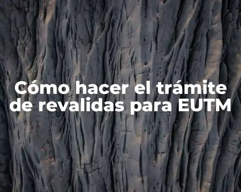 Cómo hacer el trámite de revalidas para EUTM