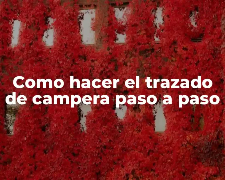 Como hacer el trazado de campera paso a paso