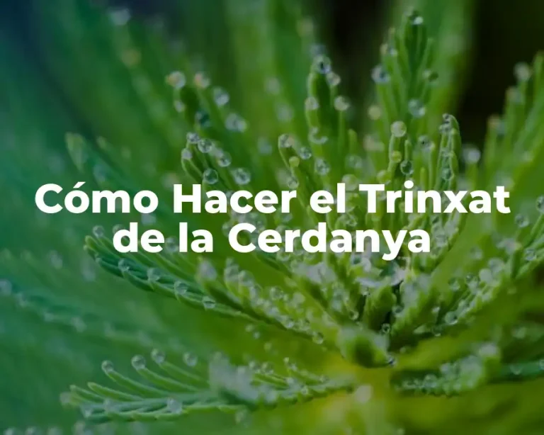 Cómo Hacer el Trinxat de la Cerdanya
