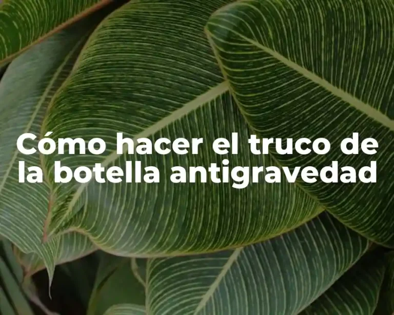 Cómo hacer el truco de la botella antigravedad