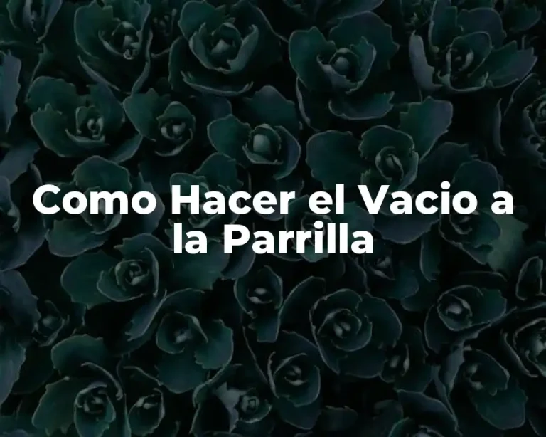 Como Hacer el Vacio a la Parrilla