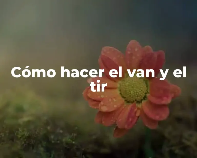 Cómo hacer el van y el tir